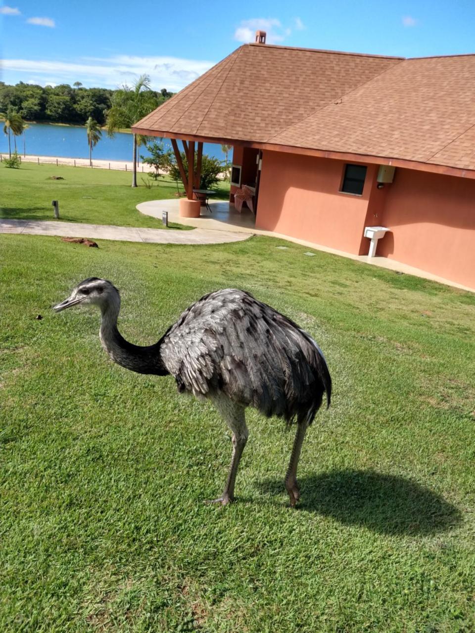 Malai Manso Cotista - Resort Acomodações 4 hosp Retiro  Exterior foto